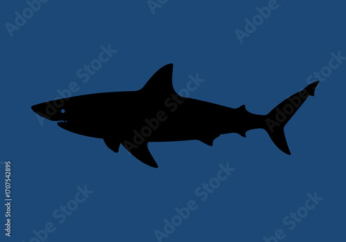 A black shark silhouette against a blue background featuring teeth and fins