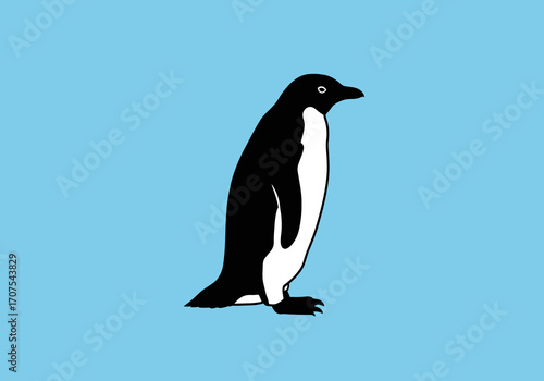 An Adélie penguin stands facing right on a light blue background