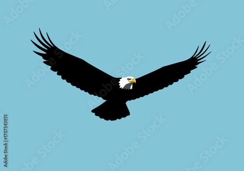 An eagle with spread wings against a light blue backdrop