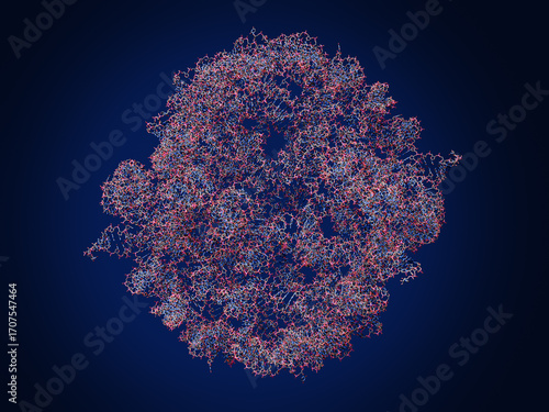 UCC118 Rool RNA (hexameric RNA). Stable RNA-based therapeutics.