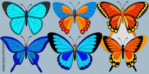 A collection of 16 realistic butterflies in various poses and angles, including top view with wings open, side views in mid-flight, and resting positions. Each butterfly has a unique wing shape and si