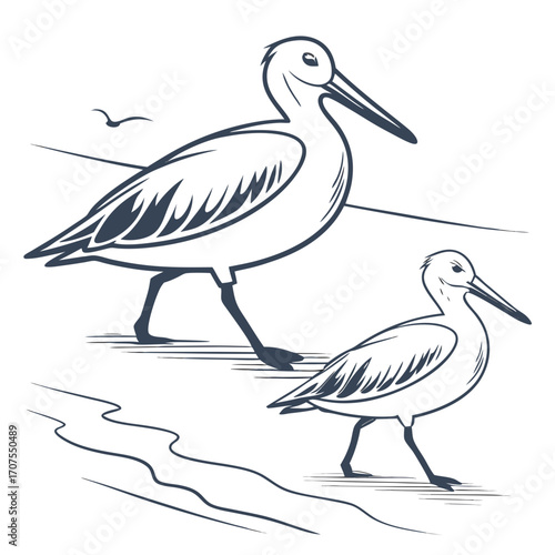 Vector art of a captivating line art illustration featuring two blacknecked stilts wading near the waters edge, , ideal for naturethemed designs and educational projects