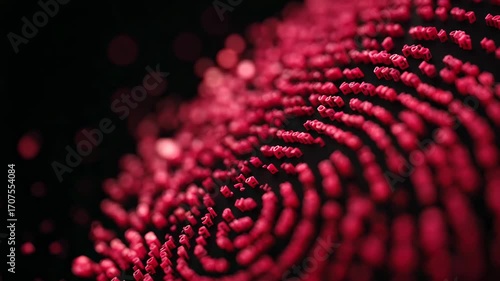 Intricate patterns emerge in vibrant red digital fingerprint representation