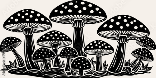 A collection of realistic Amanita muscaria mushrooms growing in a natural forest setting. The mushrooms have bright red caps with distinctive white spots and thick white stems. Some are fully grown wh