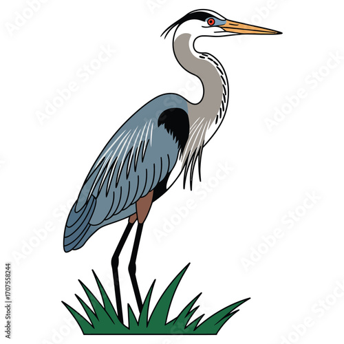 great blue heron