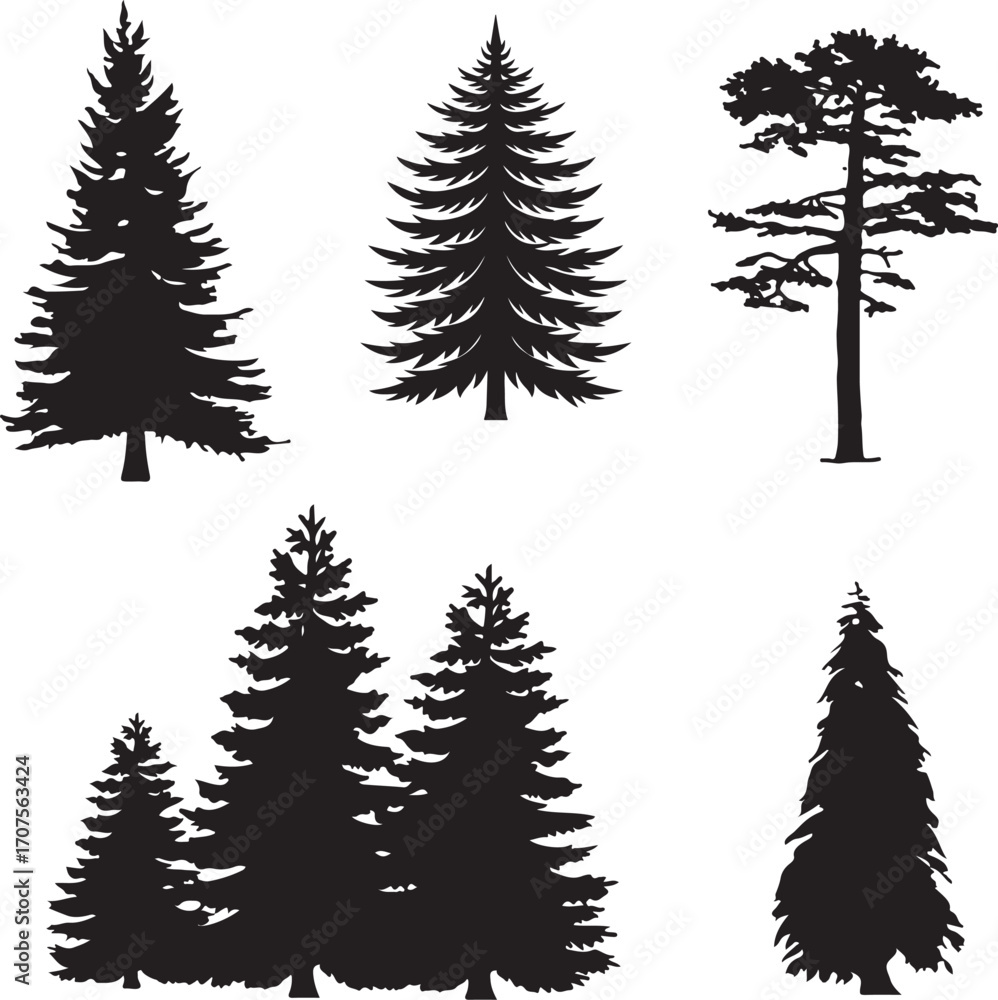 Obraz premium set of trees