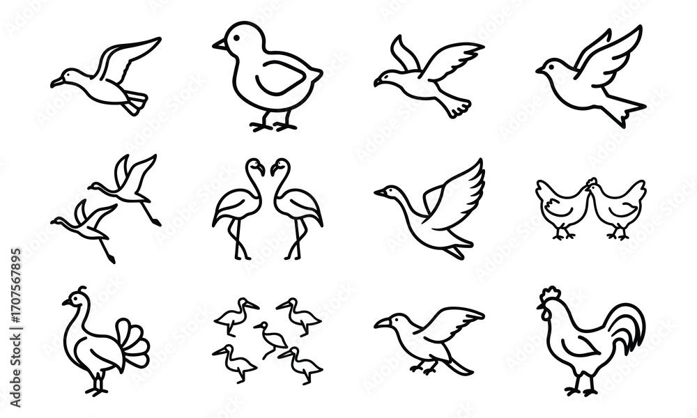 Naklejka premium Set of Simple Bird Line Drawings – Black and White Outline Illustrations of Chickens, Ducks, Flamingos, Pigeons, and Farm Birds