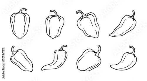 Collection of hand drawn chili pepper silhouettes in various shapes and sizes