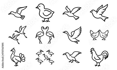 Set of Simple Bird Line Drawings – Black and White Outline Illustrations of Chickens, Ducks, Flamingos, Pigeons, and Farm Birds