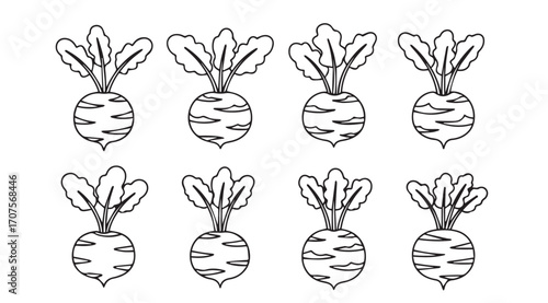 Eight hand drawn radish vegetables in a stylized silhouette pattern