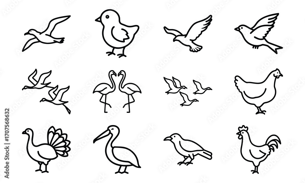 Obraz premium Set of Simple Bird Line Drawings – Black and White Outline Illustrations of Chickens, Ducks, Flamingos, Pigeons, and Farm Birds