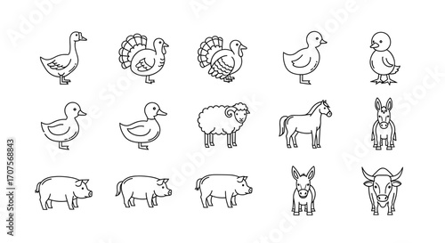 Line art illustrations of various farm animals, including ducks, turkeys, sheep, horses, and pigs.