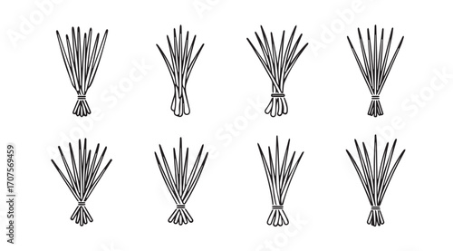 Abstract black and white zebra stripe patterns in a stylized silhouette arrangement