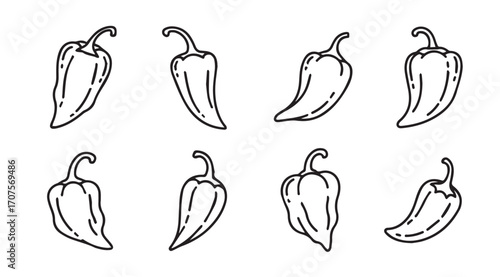 Collection of hand drawn chili pepper silhouettes in a simple outline style