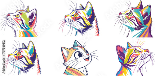 cat colorful vector