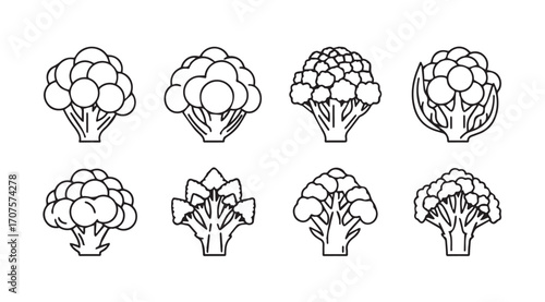 Collection of eight distinct broccoli and cauliflower florets in a clean line art silhouette