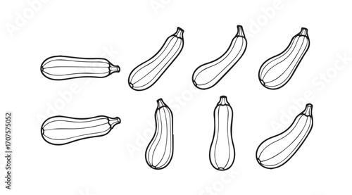 Collection of hand drawn zucchini vegetables in a silhouette style