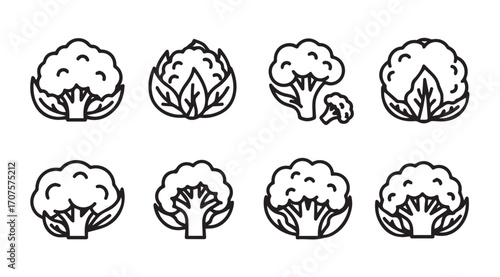 Collection of cauliflower icons in a simple line drawing silhouette style