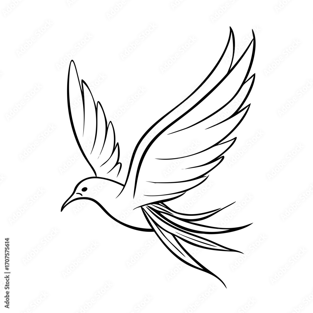 Fototapeta premium vector illustration of a dove