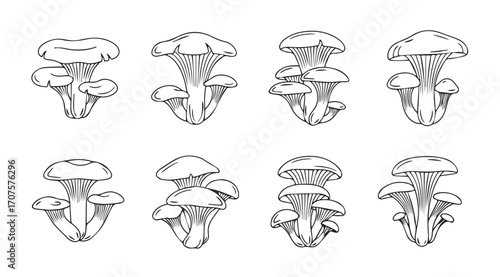 Collection of detailed mushroom silhouettes in a sketchy artistic style