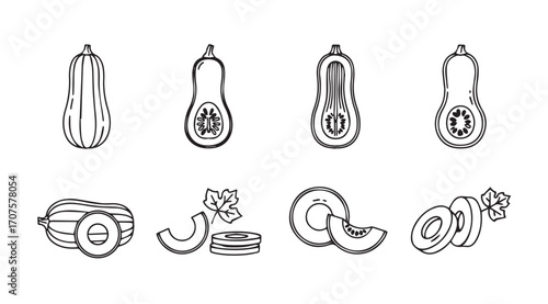 Collection of hand drawn butternut squash and pumpkin slices silhouette