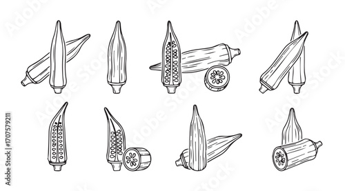 Collection of okra pods and slices depicted in a simple silhouette style
