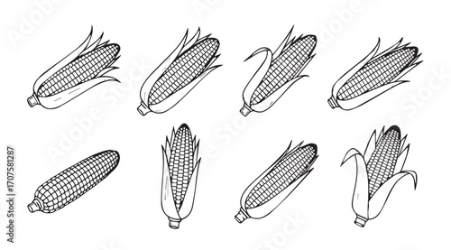 Collection of hand drawn corn cob illustrations in a distinctive silhouette style