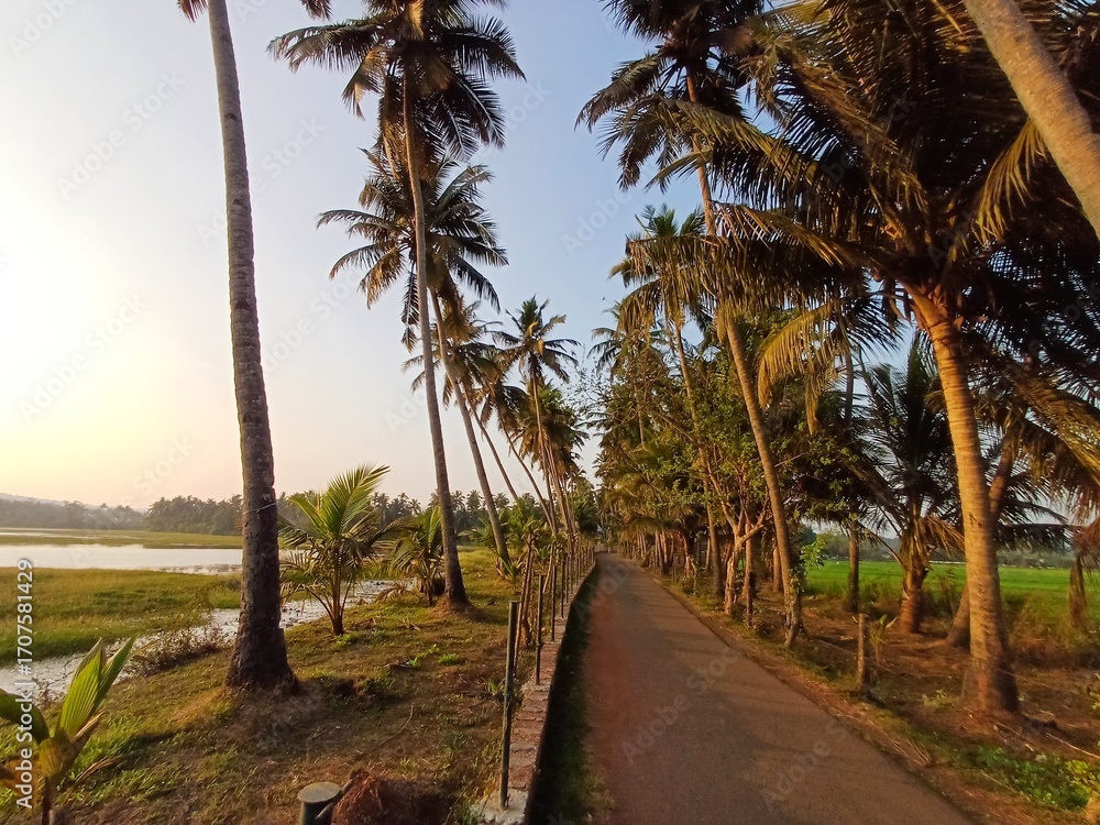 Obraz premium There are coconut trees on both sides of the road, tropical beach with palm trees.