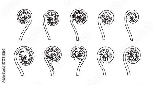 Collection of ten unfurling fern fronds in a simple line drawing silhouette