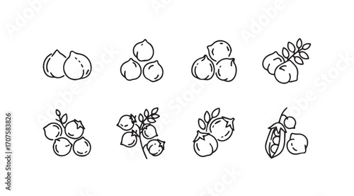 Collection of hand drawn botanical illustrations of various legumes and nuts silhouette