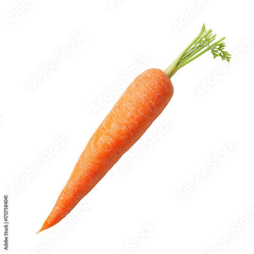 Single orange carrot, top view