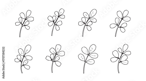 Collection of hand drawn botanical leaf sprigs in a sketchy silhouette style