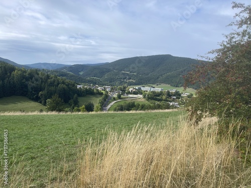 Ballade dans le vercors à Villard de lans en france