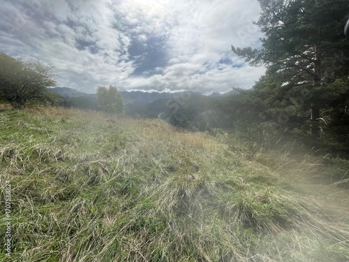 Ballade dans le vercors à Villard de lans en france