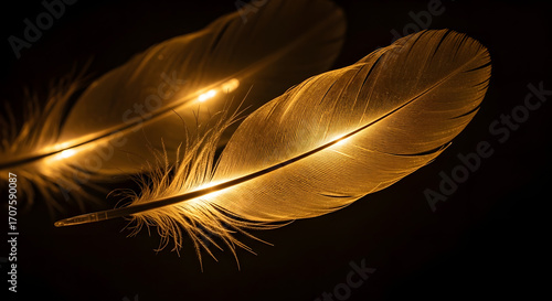 A pair of delicate golden feathers softly glowing with a warm ethereal light, isolated on a stark black background
