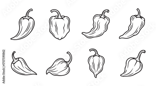 Collection of hand drawn chili pepper silhouettes in outline style