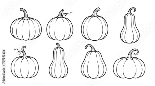 Collection of various hand drawn pumpkin and squash silhouettes