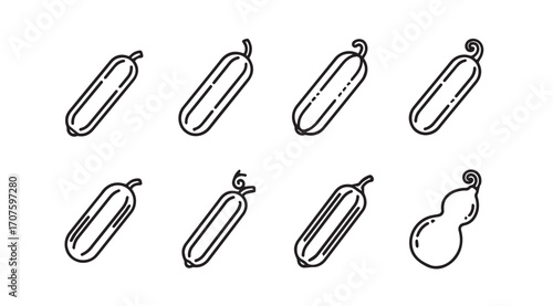 Collection of hand drawn outline illustrations of cucumbers and gourds silhouette