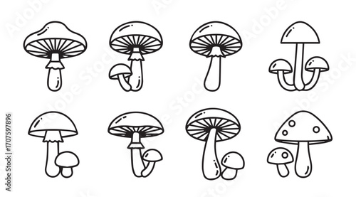 Collection of hand drawn mushroom silhouettes in a simple outline style