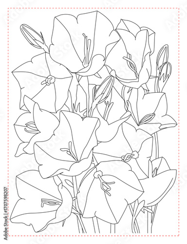 Campanula Bellflower Coloring Page: Simple and Graceful Garden Blooms