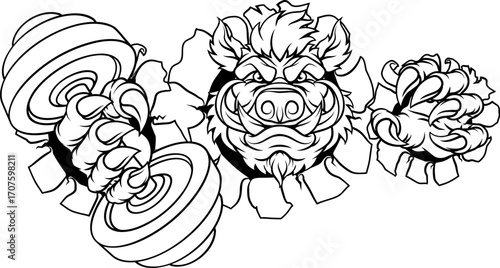 A wild boar, hog razorback warthog pig weight lifting trainer, exercise or body building gym cartoon sports mascot holding weights dumbbell