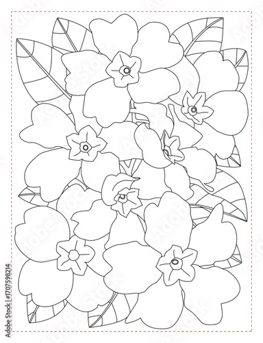 Primula Vulgaris Flower Coloring Page: Charming and Detailed Floral Art