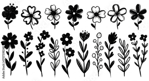 Charming hand-drawn black and white floral elements perfect for elegant design projects