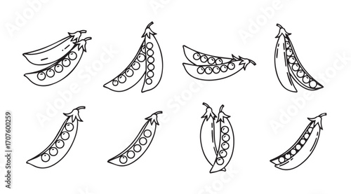 Collection of hand drawn pea pods in a simple silhouette style