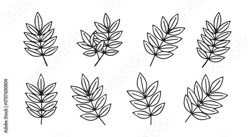 Collection of delicate hand drawn botanical leafy branch silhouettes
