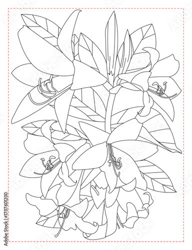Alstroemeria Flower Coloring Page: Intricate Peruvian Lily Line Art