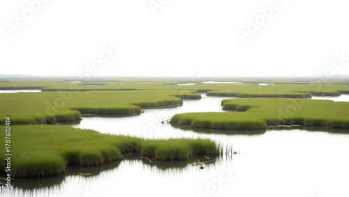 Ecology A panoramic salt marsh with tidal channels and grassy flats, scene isolated on a white background, for wetland ecosystem visuals, habitat conservation(4)