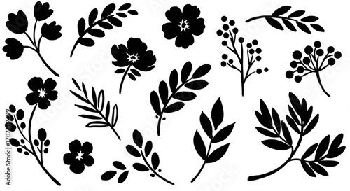 Elegant black floral and botanical elements create stunning modern designs for any project