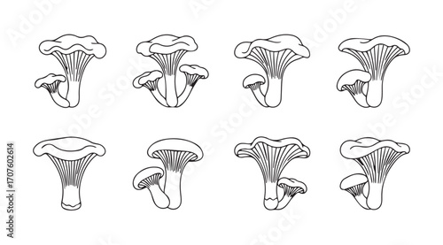 Collection of detailed chanterelle mushroom illustrations in silhouette