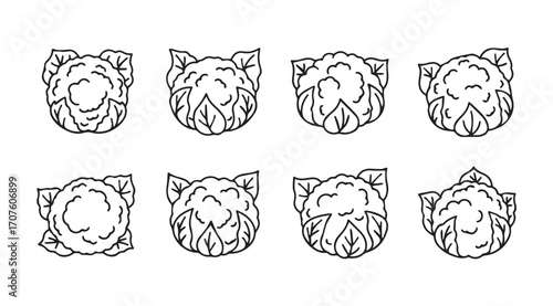 Collection of eight stylized hop cone illustrations in a silhouette style